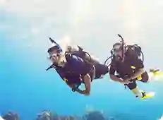 Diving & Sea