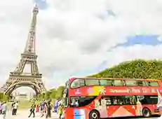 Sightseeing Tours
